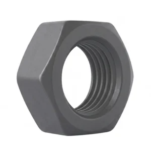Hex Nuts