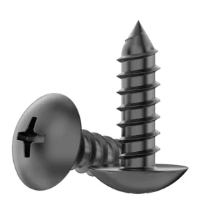 304 Stainless Steel TA Cross-Recessed Large Truss Head Plated Black Zinc Self-Tapping Screws Mushroom Head