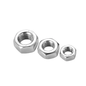 304/201/316 Stainless Steel Hex Nuts DIN934 External Locking