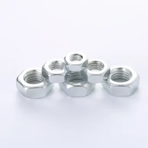 Hex Nuts
