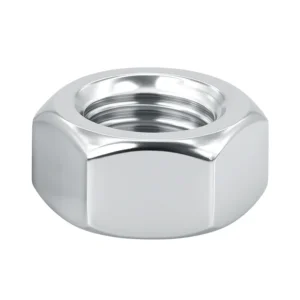 Hex Nuts