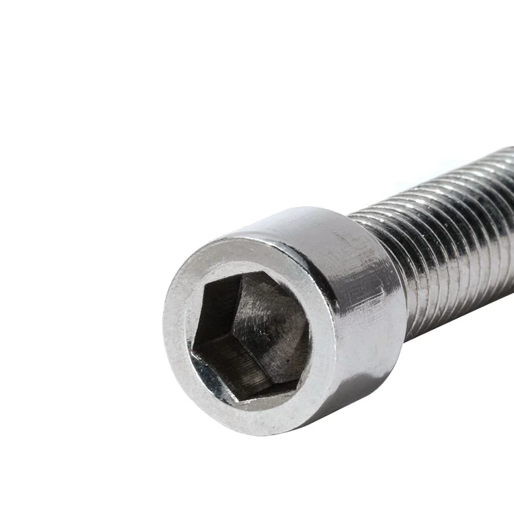 Socket Head Cap Screws 201 Stainless Steel
