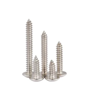 304 Stainless Steel Cross-Recessed Large Truss Head Self-Tapping Screws Pointed Tip Mushroom Head Truss Head