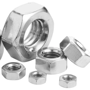 Hex Nuts