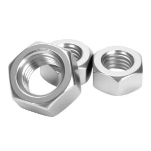 Hex Nuts