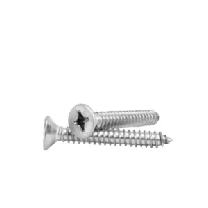 Straight hair.201 Stainless Steel GB846/DIN7982 Cross Recess Countersunk Head Buried Head Flat Head Pointed Tip Self-Tapping Screws Screw